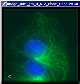 Image sum gm 0 512 after10Iterations.png