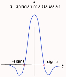 Laplacian Gaussian1.jpg