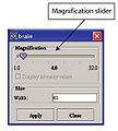 DialogboxMagnifyingGlassSettings.jpg